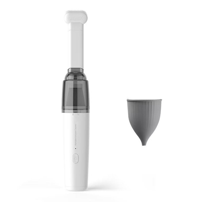 Portable vacuum cleaner